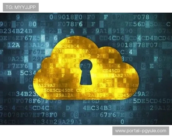 深入探索9游会ag官方国际站的安全保障机制