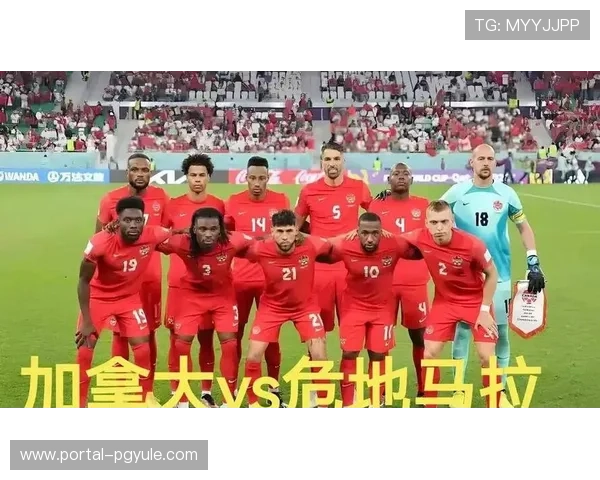加拿大VS波黑比赛历史战绩及球队表现分析 加拿大VS波黑比赛历史战绩及球队表现分析